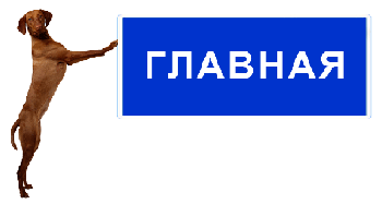 дрессировка мопса в Донецке