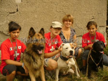 курсы дрессировки собак в Донецке