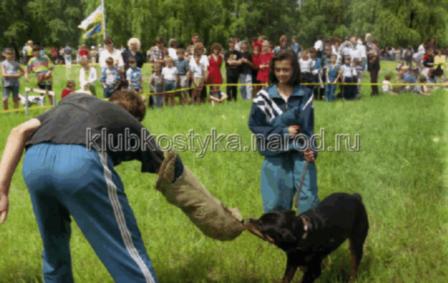 школа дрессировки собак в Донецке и Макеевке