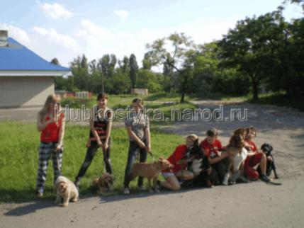 гостиница для собак  в Донецке
