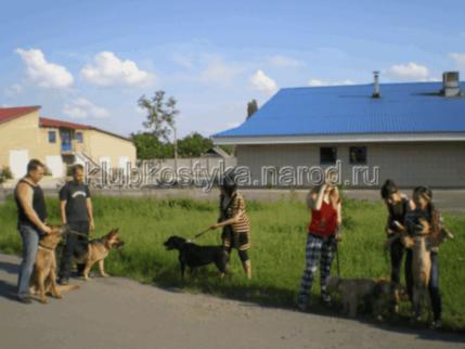 гостиницы для собак в Донецке