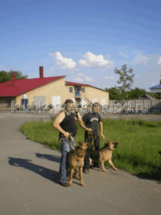 выгул собак в Донецке