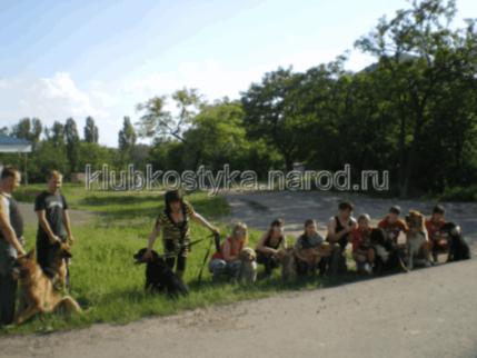 стрижка собак в Донецке