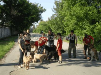 подготовка караульной собаки в Донецке