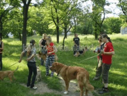 площадки для выгула собак в Донецке