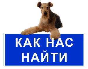 Сколько стоит выгул собак в Донецке